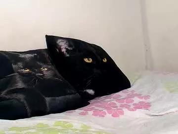 michaelstones from Chaturbate is Freechat