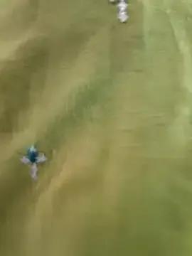 Miss_lellela from StripChat is Group