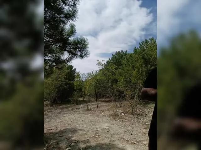 Offline -Pypsiki- on BongaCams