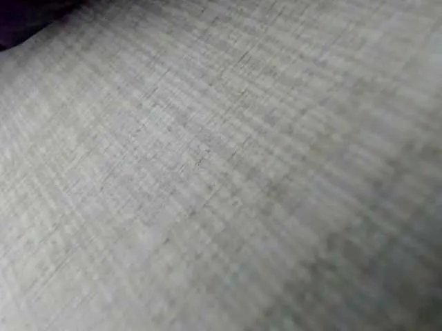 AishaRouhi on BongaCams