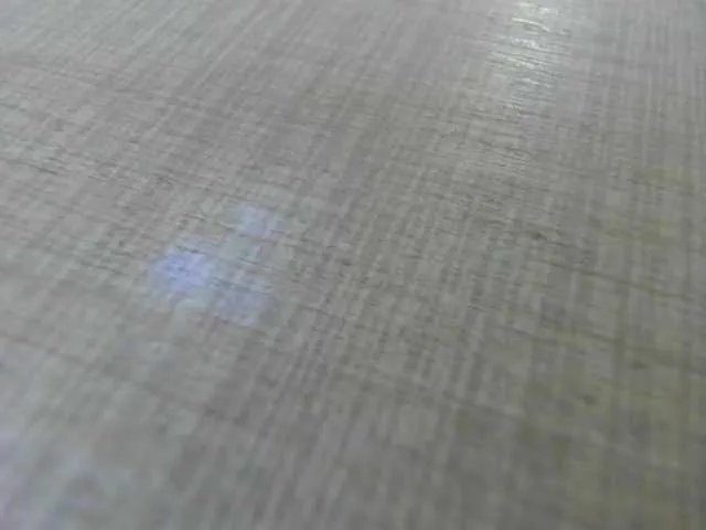 AishaRouhi on BongaCams