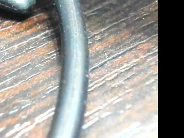 Offline alisa877 on BongaCams