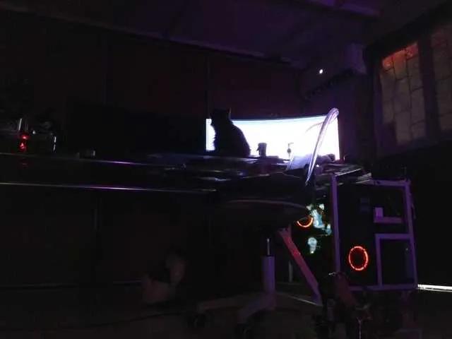 Offline angelinasia on BongaCams