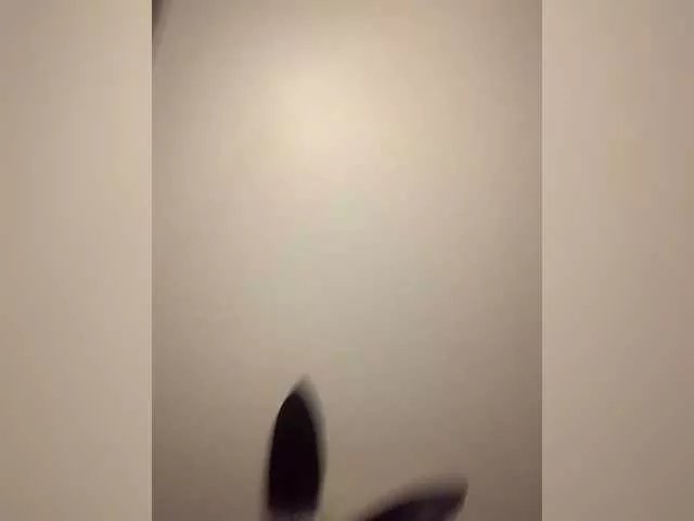 Offline DixonYSexy on BongaCams