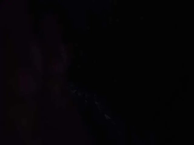 Offline Kira183 on BongaCams