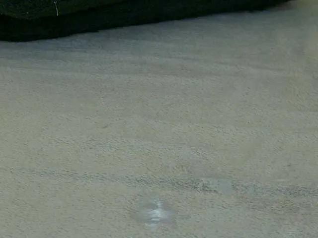 Offline LeyaCass on BongaCams