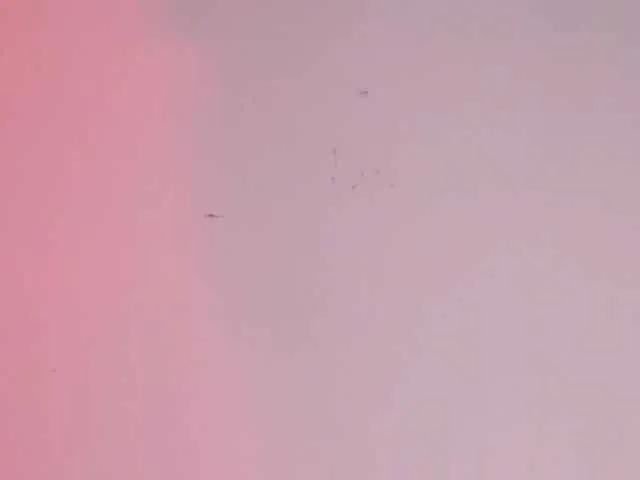 BongaCams Pamela-Velvet is Freechat Pamela-Velvet β Sound of tips $ -
Vibrations in my pussy -
To be #1