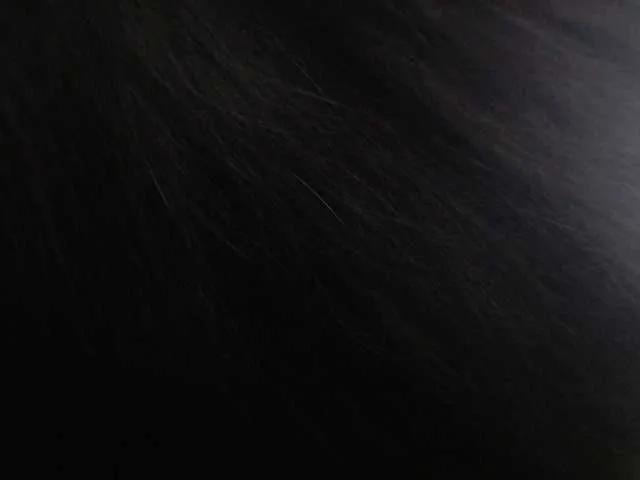 pizzahubb on BongaCams 