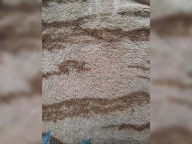 Offline SexWifeLina on BongaCams