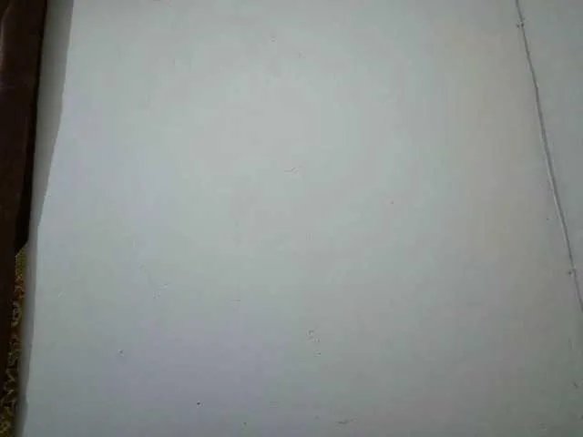 Shepretty on BongaCams