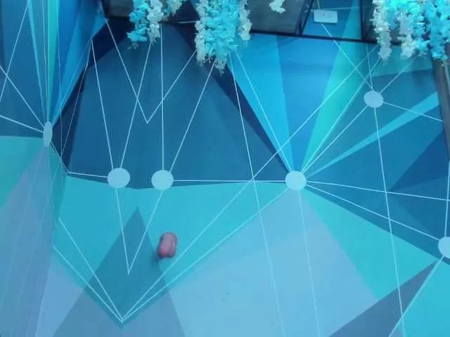 Offline SofiCruz on BongaCams