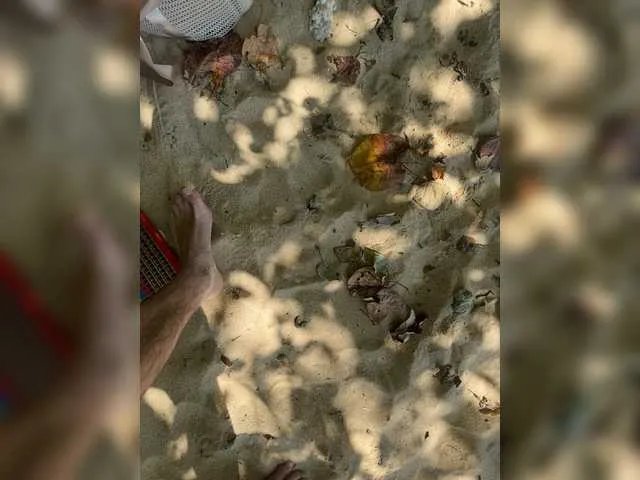 Offline VolnaV on BongaCams