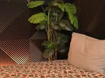 Private inaccessibles on Chaturbate