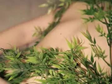 Freechat toshimori on Chaturbate