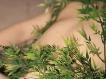 Freechat toshimori on Chaturbate