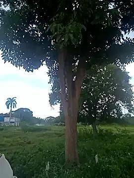 StripChat charlotte_dante212 is Freechat charlotte_dante212 — Do what you want with me