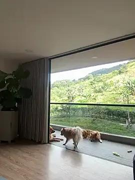 Freechat Helenbronwx on StripChat