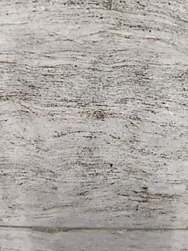 hot_plak — Group on StripChat