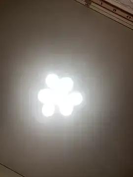 Janet_Welder on StripChat