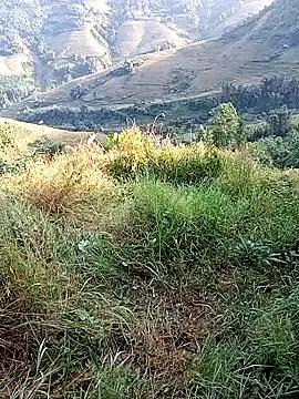 Freechat jerry-xx on StripChat