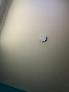 Freechat Kimmymadison- on StripChat