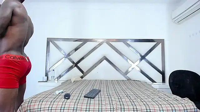 Freechat LadyandMaverick on StripChat