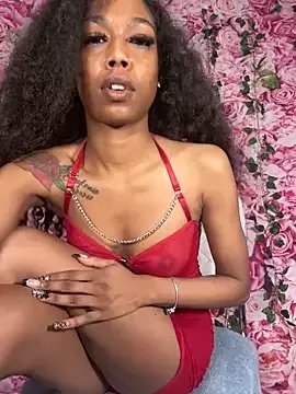 Freechat mismialove on StripChat