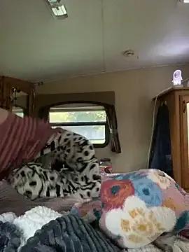 Novgirl110883 on StripChat