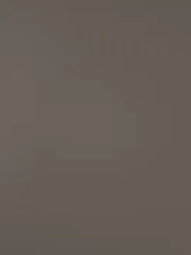 pioneer_s — Let's click on the menu task. Accomplish