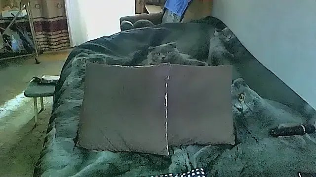 Freechat sex2 on StripChat