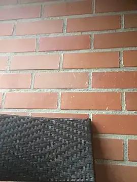 Freechat star_anastasia on StripChat