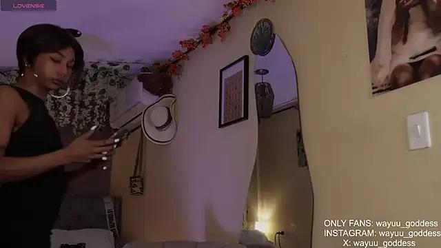 wayuu-goddess's avatar